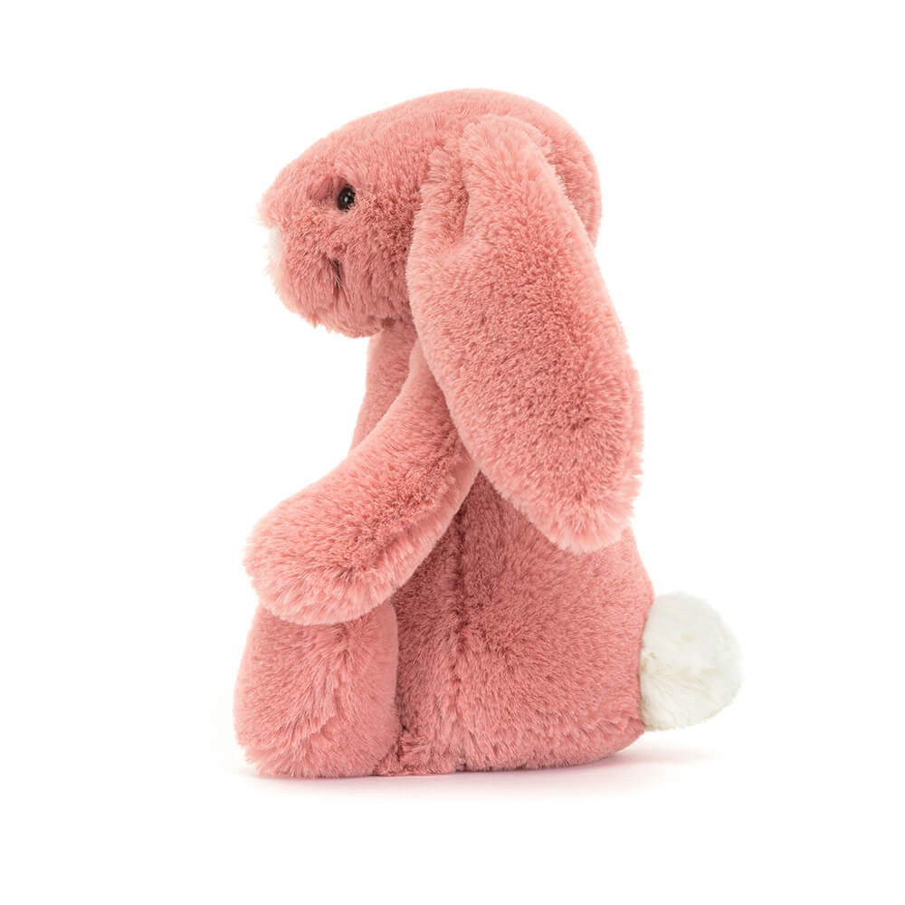 Bashful Sorrel Bunny