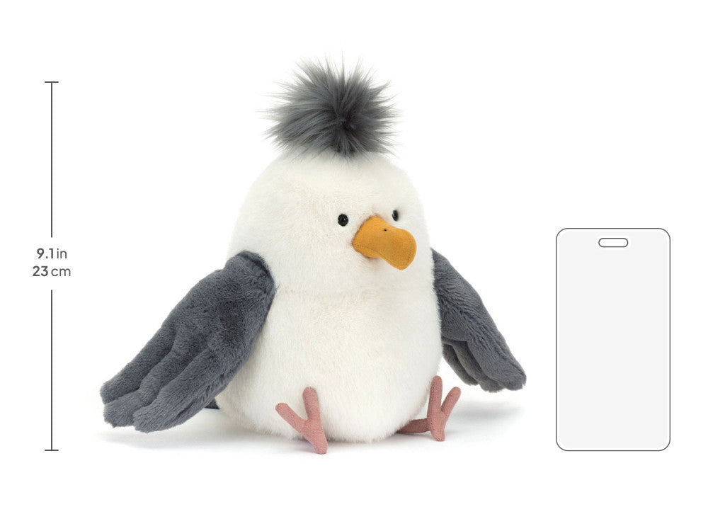 Chip Seagull